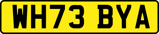WH73BYA
