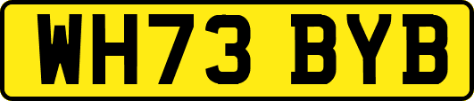 WH73BYB