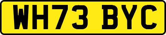 WH73BYC