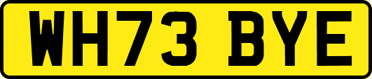 WH73BYE