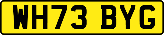 WH73BYG