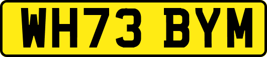 WH73BYM