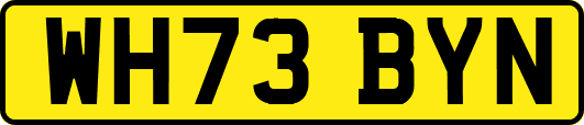 WH73BYN
