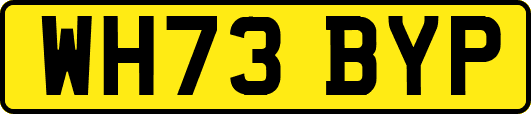 WH73BYP