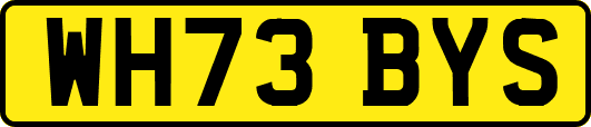 WH73BYS