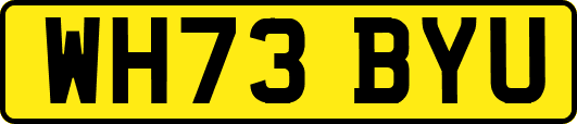 WH73BYU
