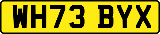 WH73BYX