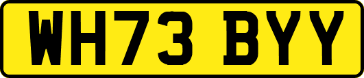 WH73BYY