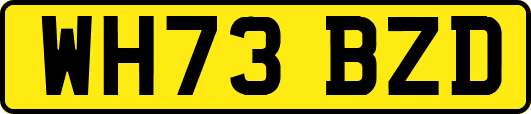 WH73BZD