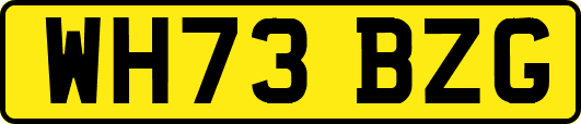 WH73BZG