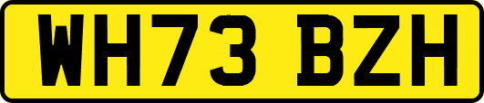WH73BZH