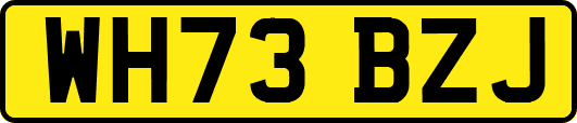 WH73BZJ
