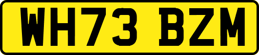 WH73BZM