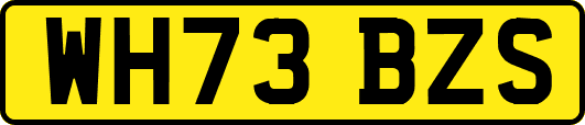 WH73BZS