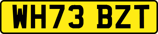 WH73BZT