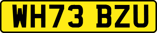 WH73BZU