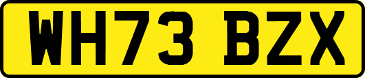 WH73BZX