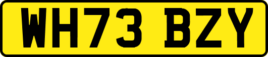 WH73BZY