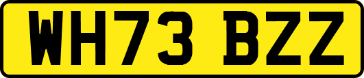 WH73BZZ
