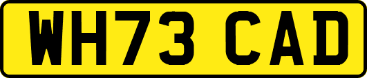 WH73CAD