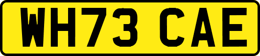WH73CAE