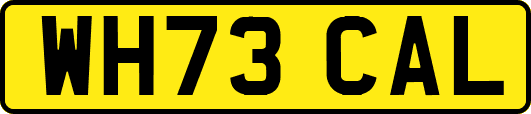 WH73CAL