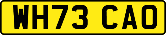 WH73CAO