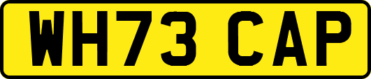 WH73CAP