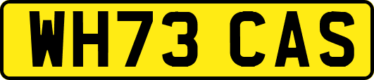 WH73CAS