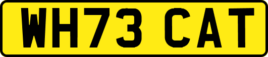 WH73CAT