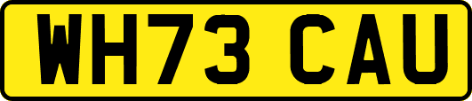 WH73CAU