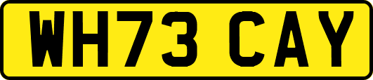 WH73CAY