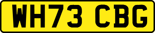 WH73CBG