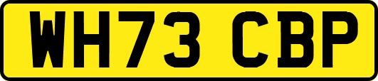 WH73CBP