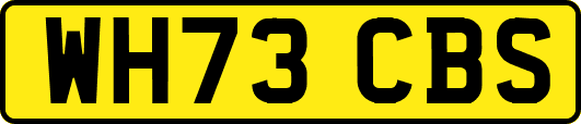 WH73CBS