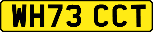 WH73CCT