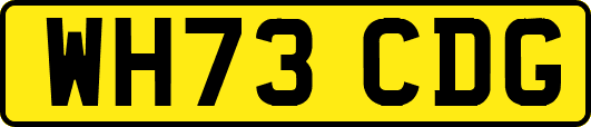 WH73CDG