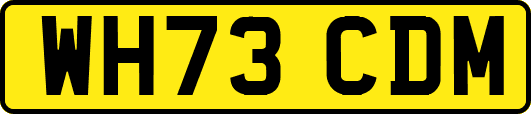 WH73CDM