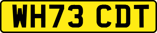 WH73CDT