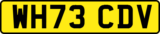 WH73CDV