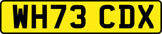 WH73CDX