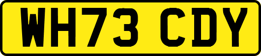 WH73CDY