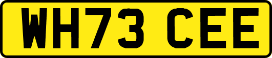 WH73CEE