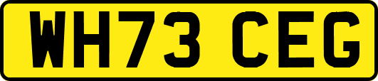 WH73CEG