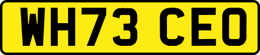 WH73CEO
