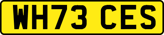WH73CES