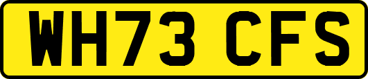WH73CFS