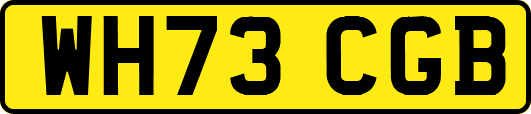 WH73CGB