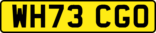 WH73CGO
