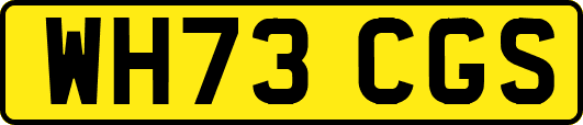 WH73CGS